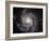 Spiral Galaxy Messier 101 (M101)-Stocktrek Images-Framed Photographic Print