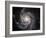 Spiral Galaxy Messier 101 (M101)-Stocktrek Images-Framed Photographic Print