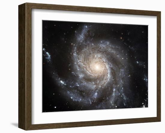 Spiral Galaxy Messier 101 (M101)-Stocktrek Images-Framed Photographic Print