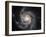 Spiral Galaxy Messier 101 (M101)-Stocktrek Images-Framed Photographic Print