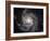 Spiral Galaxy Messier 101 (M101)-Stocktrek Images-Framed Photographic Print