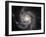 Spiral Galaxy Messier 101 (M101)-Stocktrek Images-Framed Photographic Print