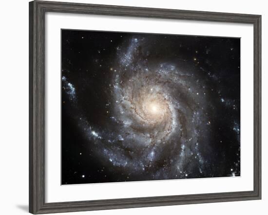 Spiral Galaxy Messier 101 (M101)-Stocktrek Images-Framed Photographic Print