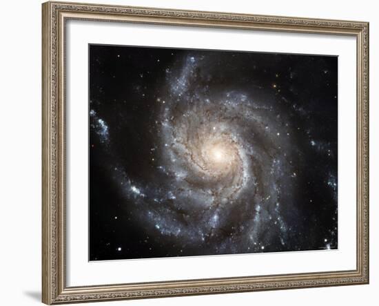 Spiral Galaxy Messier 101 (M101)-Stocktrek Images-Framed Photographic Print