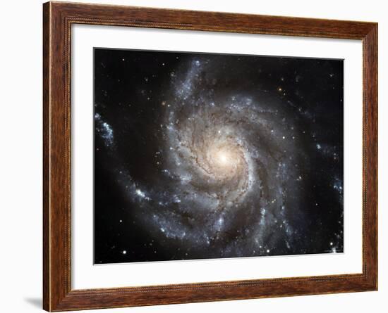 Spiral Galaxy Messier 101 (M101)-Stocktrek Images-Framed Photographic Print