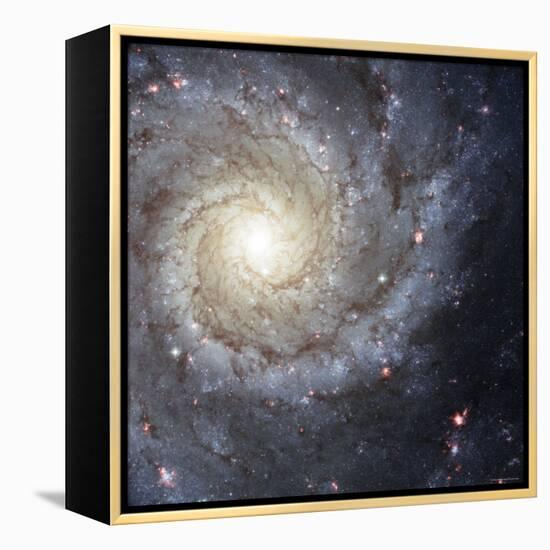 Spiral Galaxy Messier 74-Stocktrek Images-Framed Premier Image Canvas