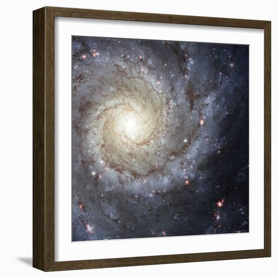 Spiral Galaxy Messier 74-Stocktrek Images-Framed Photographic Print