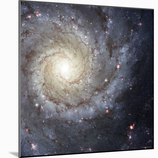 Spiral Galaxy Messier 74-Stocktrek Images-Mounted Photographic Print