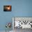 Spiral Galaxy System Glowing into Deep Space-paulista-Photographic Print displayed on a wall