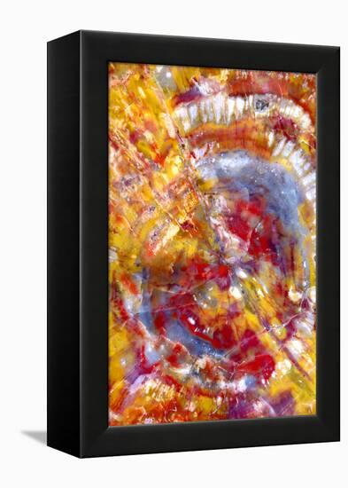 Spiral Galaxy-Douglas Taylor-Framed Premier Image Canvas