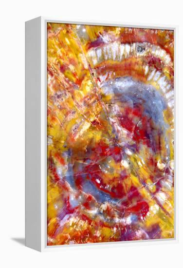 Spiral Galaxy-Douglas Taylor-Framed Premier Image Canvas