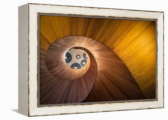 Spiral Gold-Doug Chinnery-Framed Premier Image Canvas