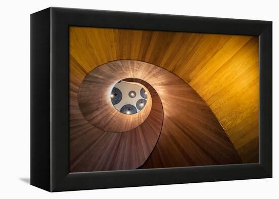 Spiral Gold-Doug Chinnery-Framed Premier Image Canvas