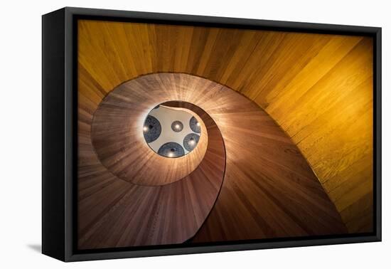 Spiral Gold-Doug Chinnery-Framed Premier Image Canvas