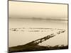 Spiral Jetty Above Great Salt Lake, Utah, USA-Scott T. Smith-Mounted Photographic Print