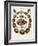 Spiral Shell Formation II-Albertus Seba-Framed Art Print