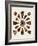 Spiral Shell Formation IV-Albertus Seba-Framed Art Print