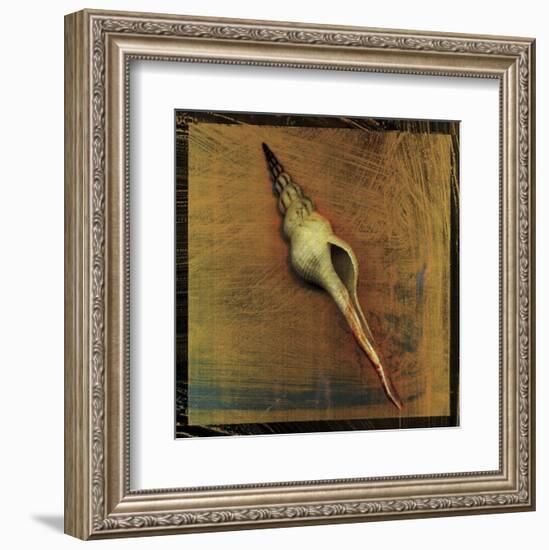 Spiral Shell-John W^ Golden-Framed Art Print