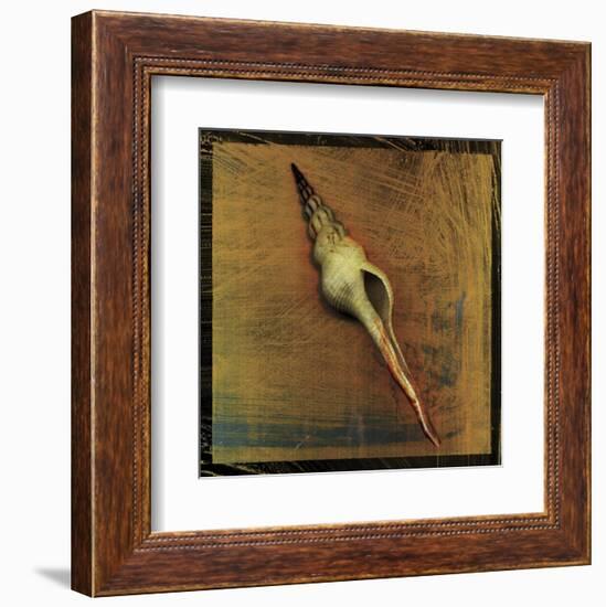 Spiral Shell-John W^ Golden-Framed Art Print