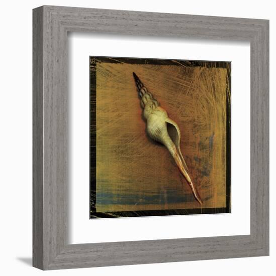 Spiral Shell-John W^ Golden-Framed Art Print