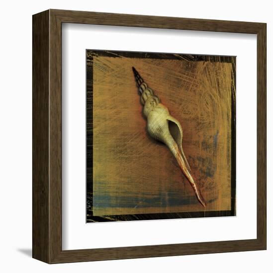 Spiral Shell-John W^ Golden-Framed Art Print