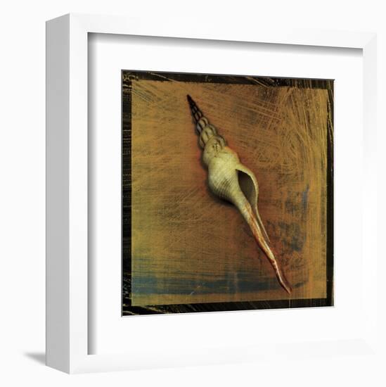 Spiral Shell-John W^ Golden-Framed Art Print