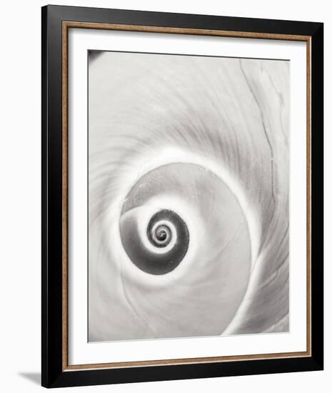 Spiral Shell-John Harper-Framed Giclee Print