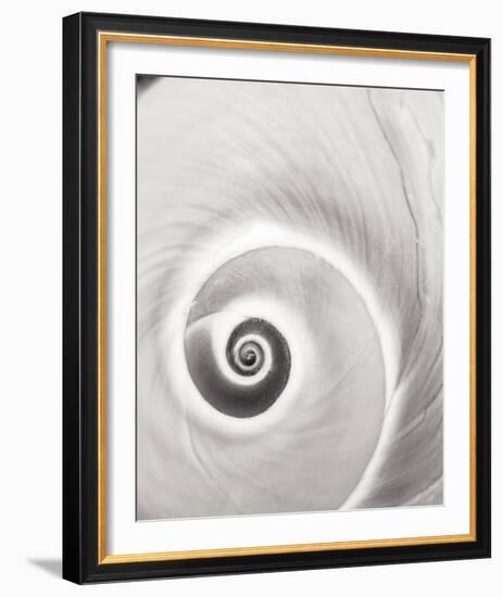 Spiral Shell-John Harper-Framed Giclee Print