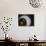 Spiral Staircase in a Lighthouse, Cabo Santa Maria Lighthouse, La Paloma, Rocha Department, Uruguay-null-Photographic Print displayed on a wall