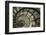 Spiral Staircase in Arc de Triomphe-Christian Peacock-Framed Giclee Print