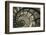 Spiral Staircase in Arc de Triomphe-Christian Peacock-Framed Giclee Print