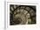 Spiral Staircase in Arc de Triomphe-Christian Peacock-Framed Art Print