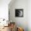 Spiral Staircase No. 1-PhotoINC Studio-Framed Stretched Canvas displayed on a wall