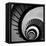 Spiral Staircase No. 3-PhotoINC Studio-Framed Stretched Canvas