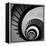 Spiral Staircase No. 3-PhotoINC Studio-Framed Stretched Canvas