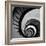 Spiral Staircase No. 3-PhotoINC Studio-Framed Art Print