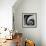 Spiral Staircase No. 3-PhotoINC Studio-Framed Art Print displayed on a wall