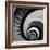 Spiral Staircase No. 3-PhotoINC Studio-Framed Art Print