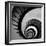 Spiral Staircase No. 3-PhotoINC Studio-Framed Art Print