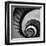 Spiral Staircase No. 3-PhotoINC Studio-Framed Art Print