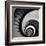 Spiral Staircase No. 3-PhotoINC Studio-Framed Art Print