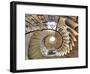 Spiral Staircase, Seaton Delaval Hall, Northumberland, England, UK-Ivan Vdovin-Framed Photographic Print