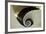 Spiral Staircase, Silken Gran Hotel Domine, Bilbao, Spain-Jaynes Gallery-Framed Photographic Print