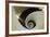 Spiral Staircase, Silken Gran Hotel Domine, Bilbao, Spain-Jaynes Gallery-Framed Photographic Print
