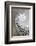 Spiral Staircase, the Queen's House, Greenwich, London, UK-Peter Adams-Framed Photographic Print