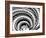 Spiral Staircase-Andrea Costantini-Framed Photographic Print