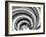 Spiral Staircase-Andrea Costantini-Framed Photographic Print