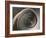 Spiral Stairway, Ljubljana, Slovenia-Adam Jones-Framed Photographic Print