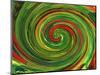 Spiralicious-Herb Dickinson-Mounted Photographic Print