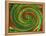 Spiralicious-Herb Dickinson-Framed Premier Image Canvas